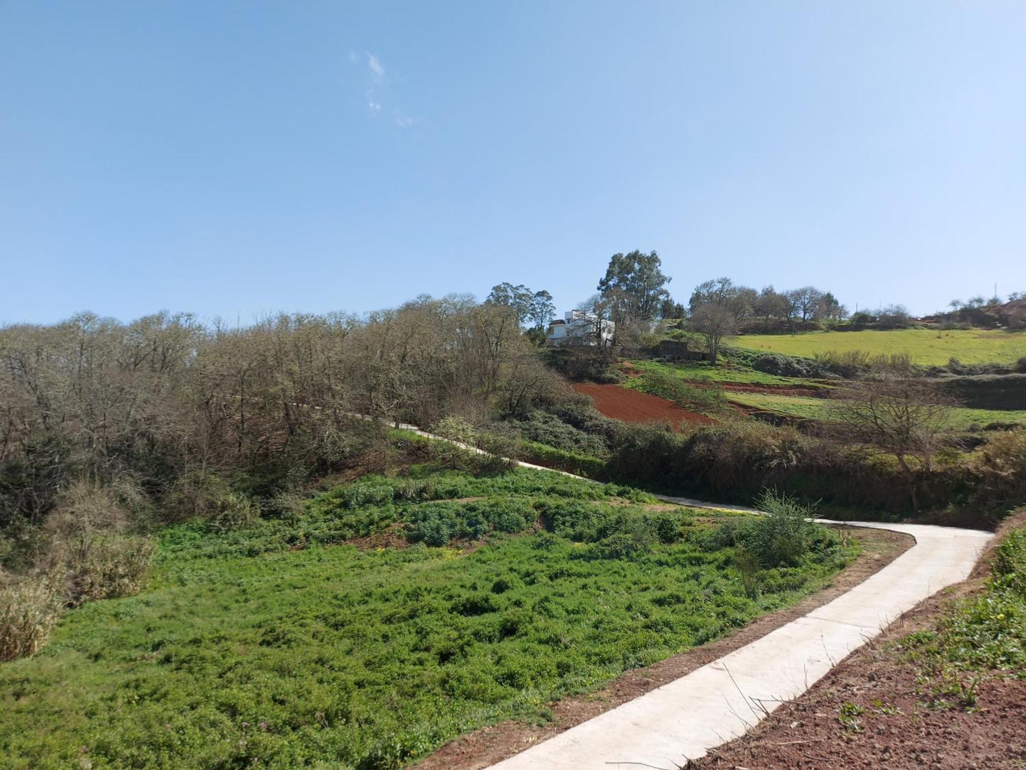 Finca Naturacanaria Moya  Exterior photo