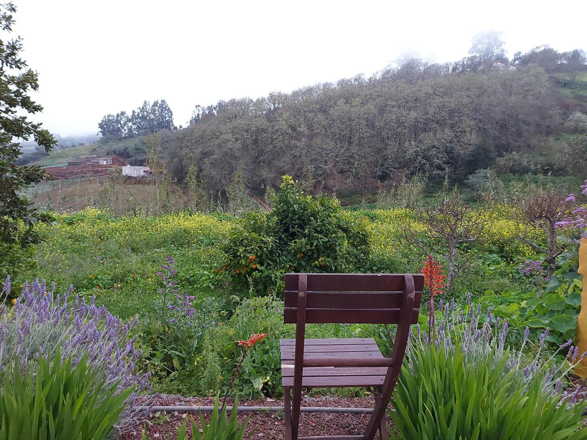Finca Naturacanaria Moya  Exterior photo
